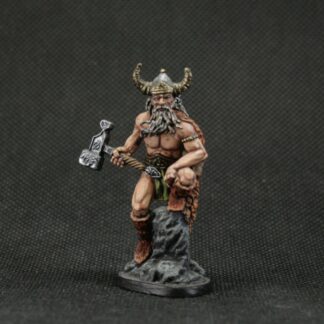 Vikings soldiers